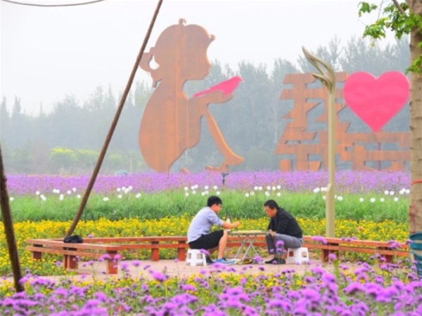 洺湖花海