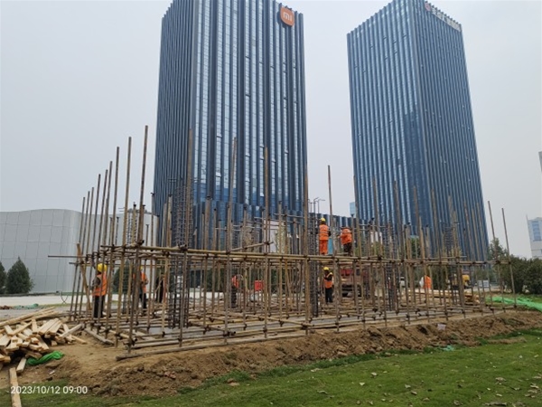 保定市复兴路带状绿地施工