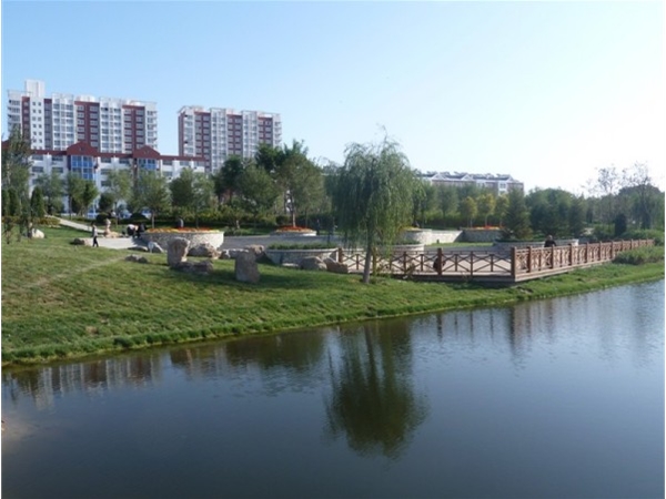 保定市府河景观带绿化工程