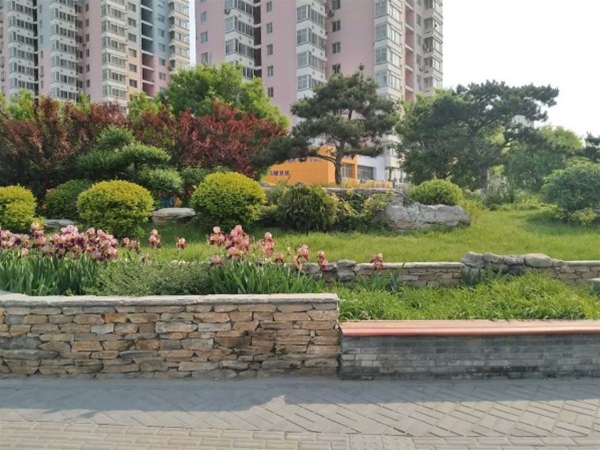 府河片区红旗大街、三丰路路口、关东关西街景观、府河南路、三丰路东延绿化工程