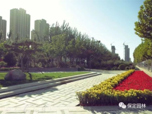 白洋淀大道景观工程